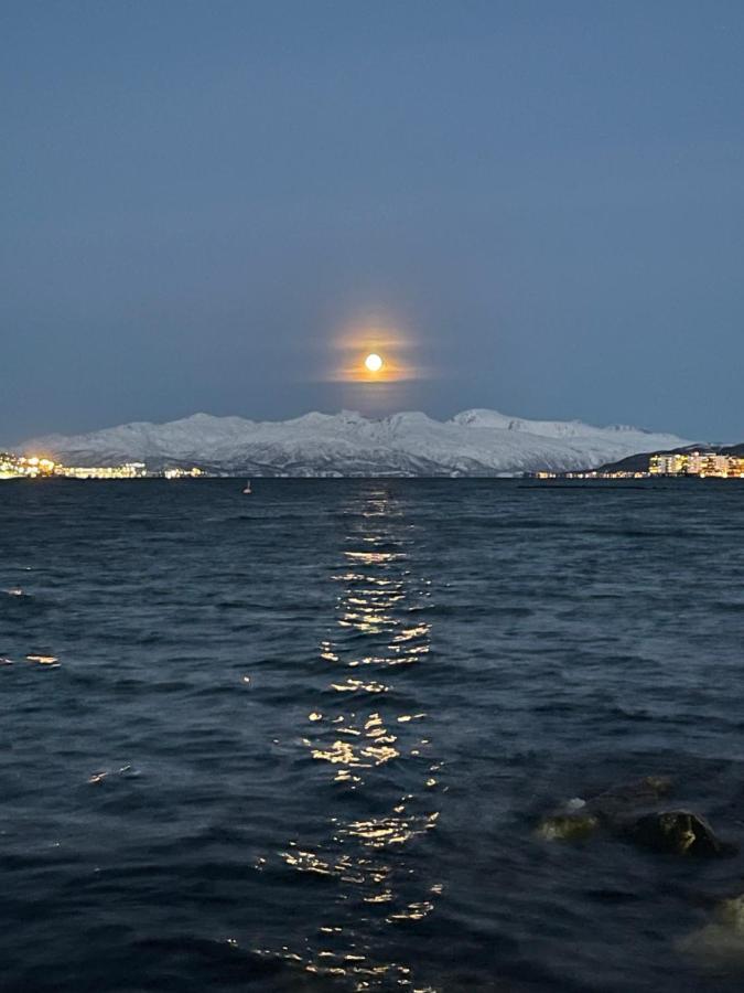 Appartment Close To The City, Ocean And Mountains -トロムソ エクステリア 写真